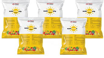Marchi Agro