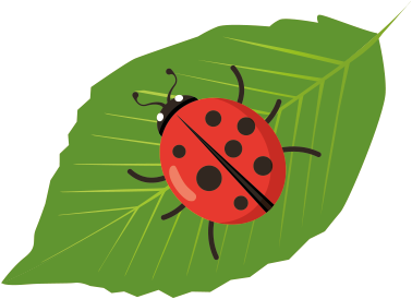 Ladybug